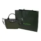 Bag+Shopping Bag