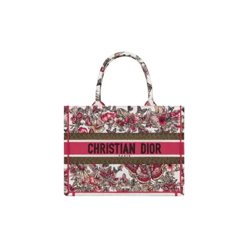 DIOR BookTote Handbags