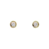 Stud Earrings