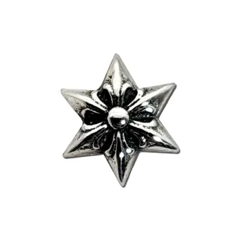 Chrome Hearts Six Point Star Stud Earring