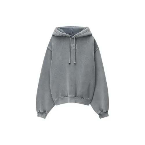 Alexander Wang Sweatshirts Unisex Washable Worn Gray