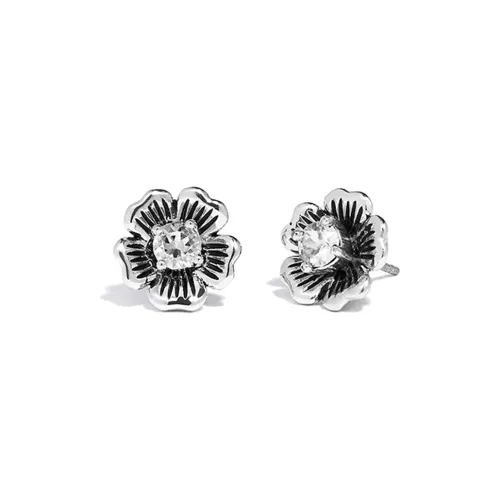 COACH Stud Earrings Women's