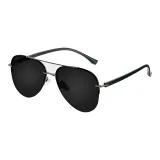 Black (Box Included) (Polarized)