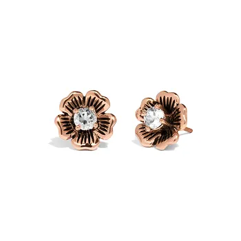 COACH Brass Stud Earrings Women's Rose Gold