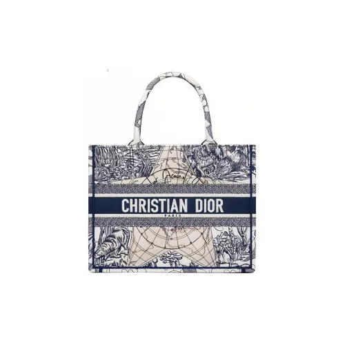 DIOR BookTote Handbags