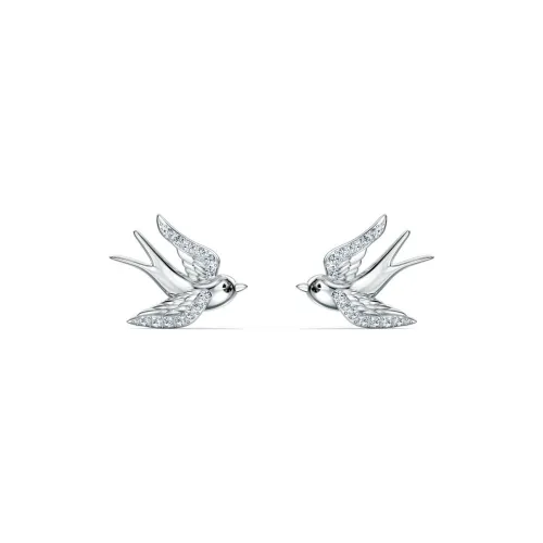 Swarovski Stud Earrings Women's Silvery White