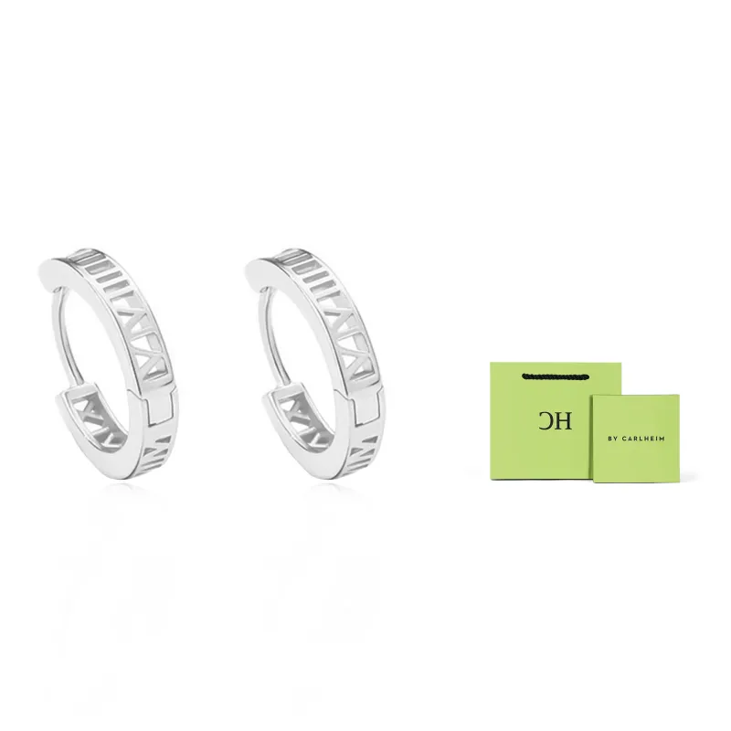 CARLHEIM Alloy Stud Earrings Unisex-2