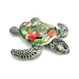 Sea Turtle