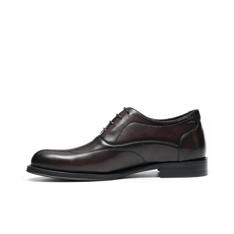 ASTON M.JAZZ Dress Shoes Men Low Top Black, Brown-7
