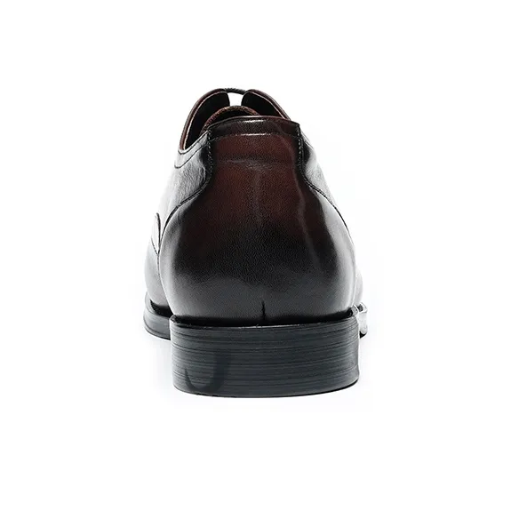ASTON M.JAZZ Dress Shoes Men Low Top Black, Brown-12