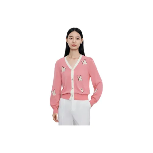 DESIGNICE Knitwear Women's Millennial Pink