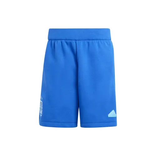 adidas Men Sports shorts