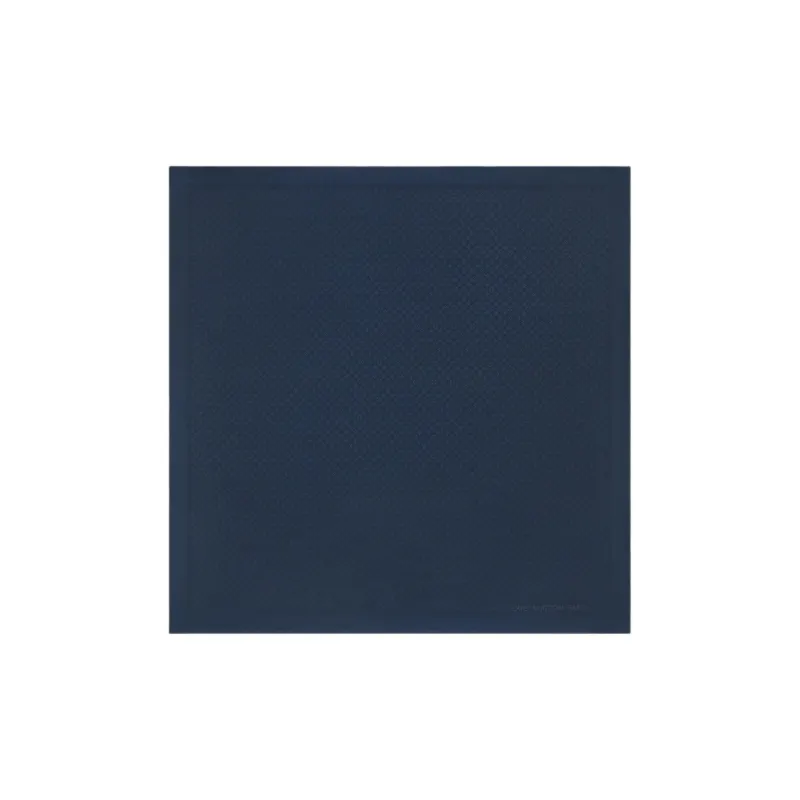 LOUIS VUITTON Evermore Shawl-0