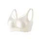 Champagne White