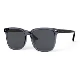 Transparent Gray Frame with Black Gray Lens