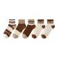 5 Pack (Toe White & Tricolor & Double White Stripe & Embroidery English X2)