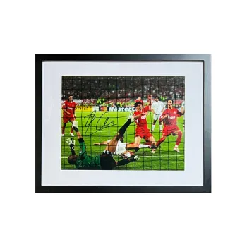 ICONS.com Alonso Includes Certification Certificate Outer Frame Size: 38.6x48.6cm