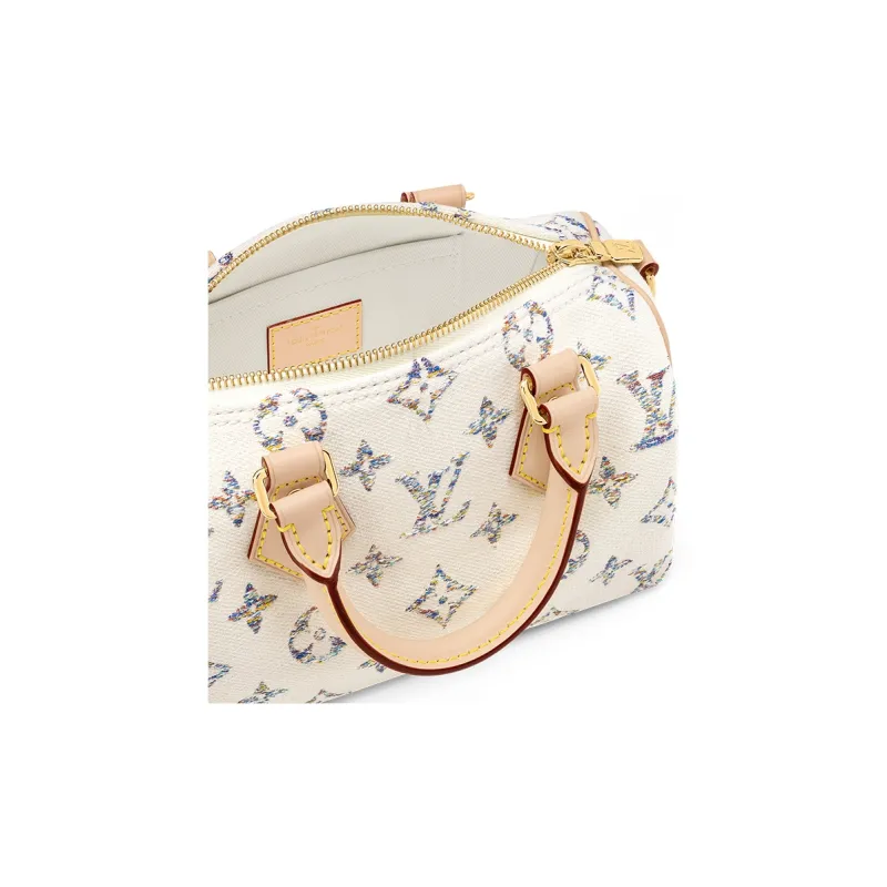 LOUIS VUITTON Speedy 20 Multicolor Beige-4