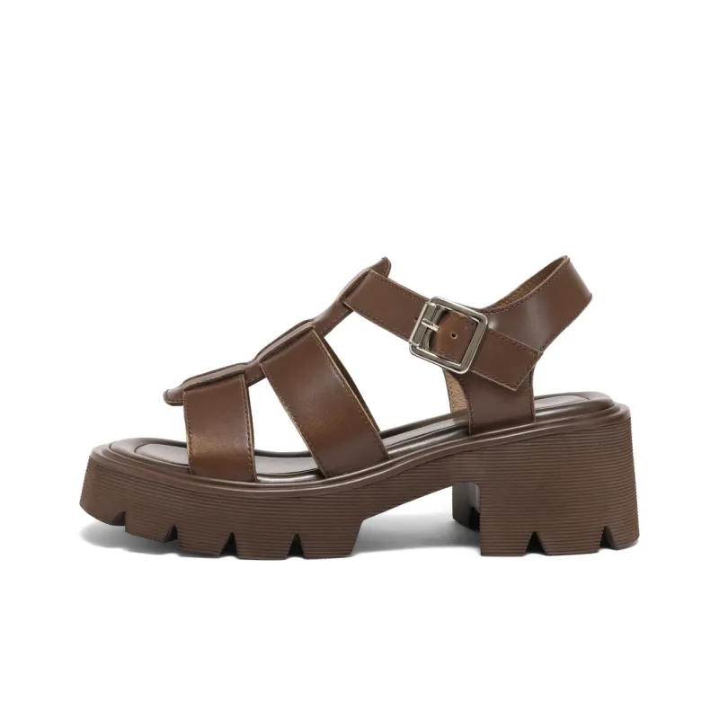 BELLE Roman Sandals 6CM Women's Brown, Dark Gray-1
