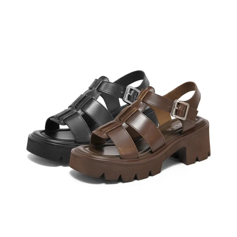 BELLE Roman Sandals 6CM Women's Brown, Dark Gray-10