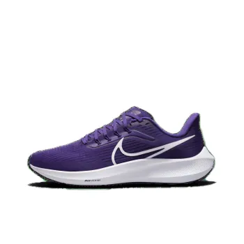 Nike Air Zoom Pegasus 39 Tb Court Purple