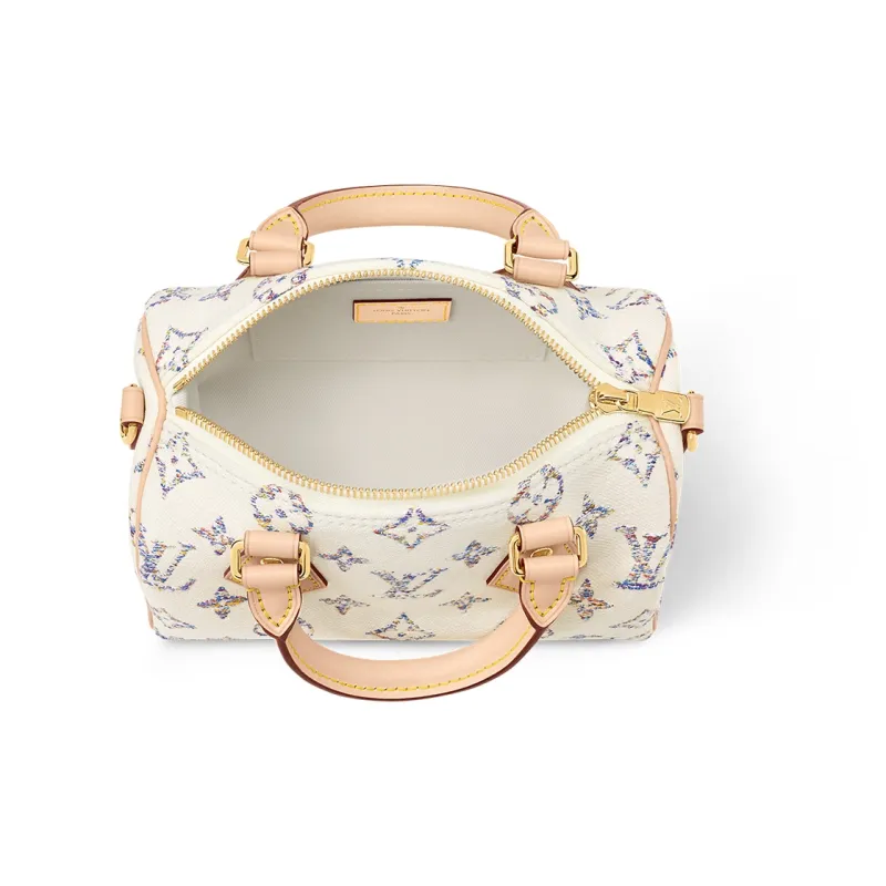 LOUIS VUITTON Speedy 20 Multicolor Beige-3