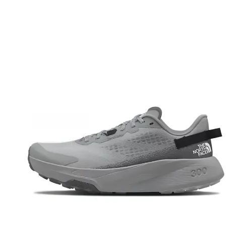 THE NORTH FACE Altamesa 300 Running Shoes Men Low-Top Gray