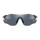 Black Frame-Black Gold Coated Lens with Polarized Lenses 67008255