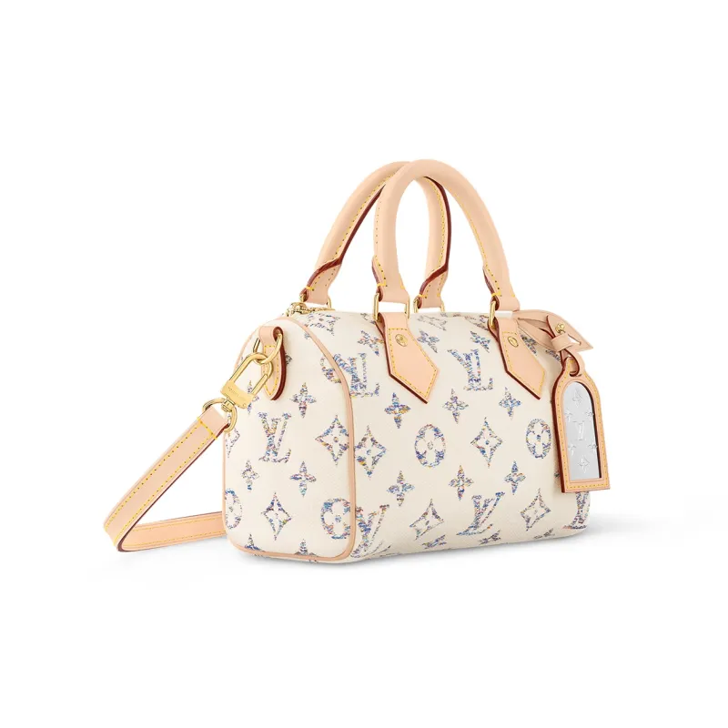 LOUIS VUITTON Speedy 20 Multicolor Beige-1