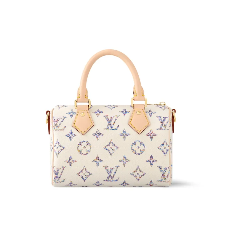 LOUIS VUITTON Speedy 20 Multicolor Beige-2