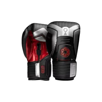 HAYABUSA Boxing Gloves