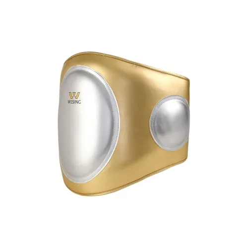 WESING Boxing Accessories Waist Target
