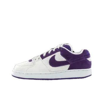 Nike Sb Zoom
