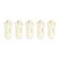 5 Pack (White Bowknot)