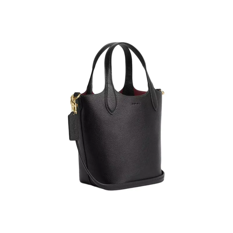COACH Hanna Double Sided Leather Bucket Bag, Portable Crossbody Bag, Shoulder Bag Women's Gold & Black-1