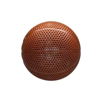 Wilson Basketball