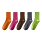 5 Pack (Orange+Rose Red+Caramel+Gray+Neon Green)