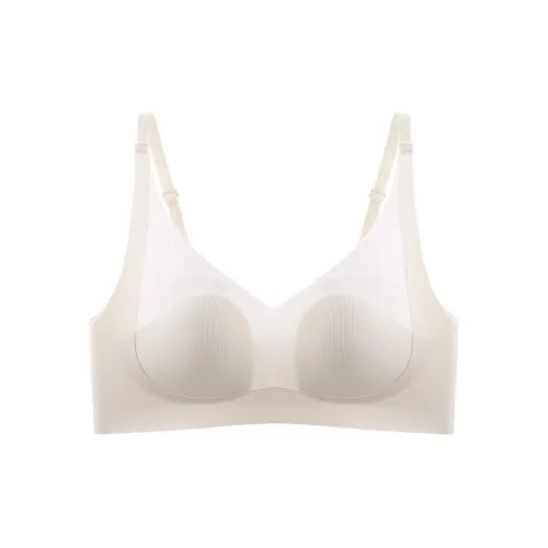 2323 Women's Bras