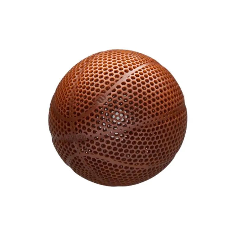 Wilson Basketball-1