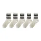 5 Pack (Multiple Stripes)