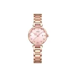 Pink Dial Steel Band