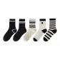 5 Pack (Single Stripe+Double Stripe+Multi Stripes+Embroidery R+Full Stripes)