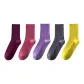 5 Pack (Burgundy+Dark Pink+Light Purple+Gray+Bright Yellow)