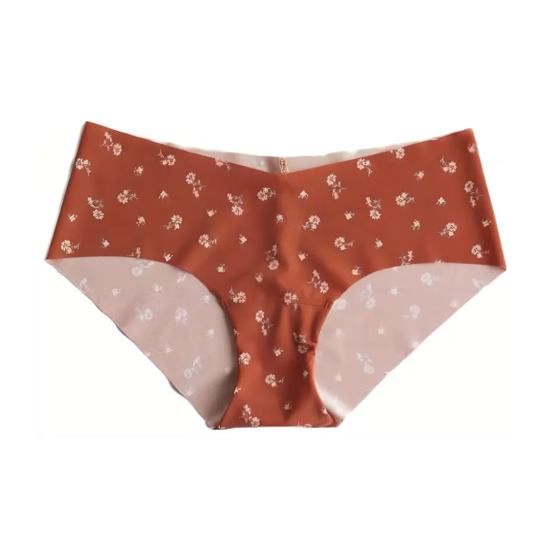 Hollister Women's Underpants-7