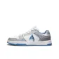 Blue Gray