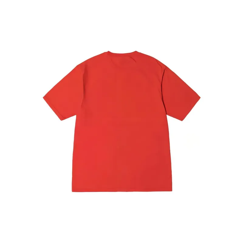 Stussy Champion Pigment Dyed Tee-7