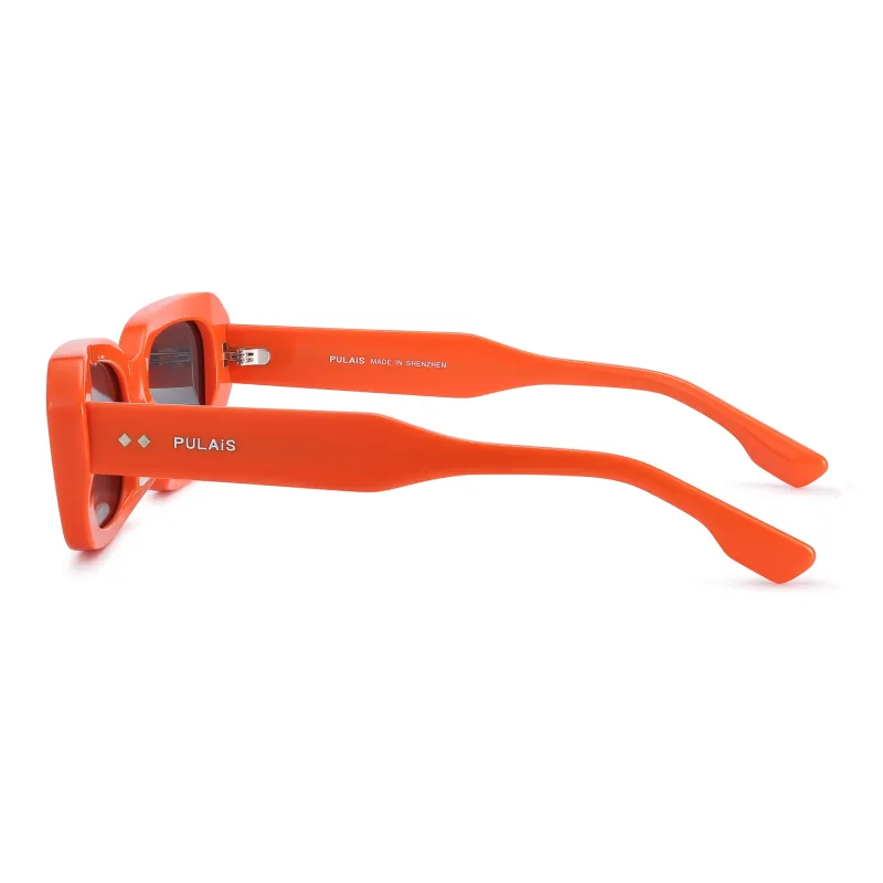 PULAIS Plate Frame Irregular Shape Sunglasses Unisex-14