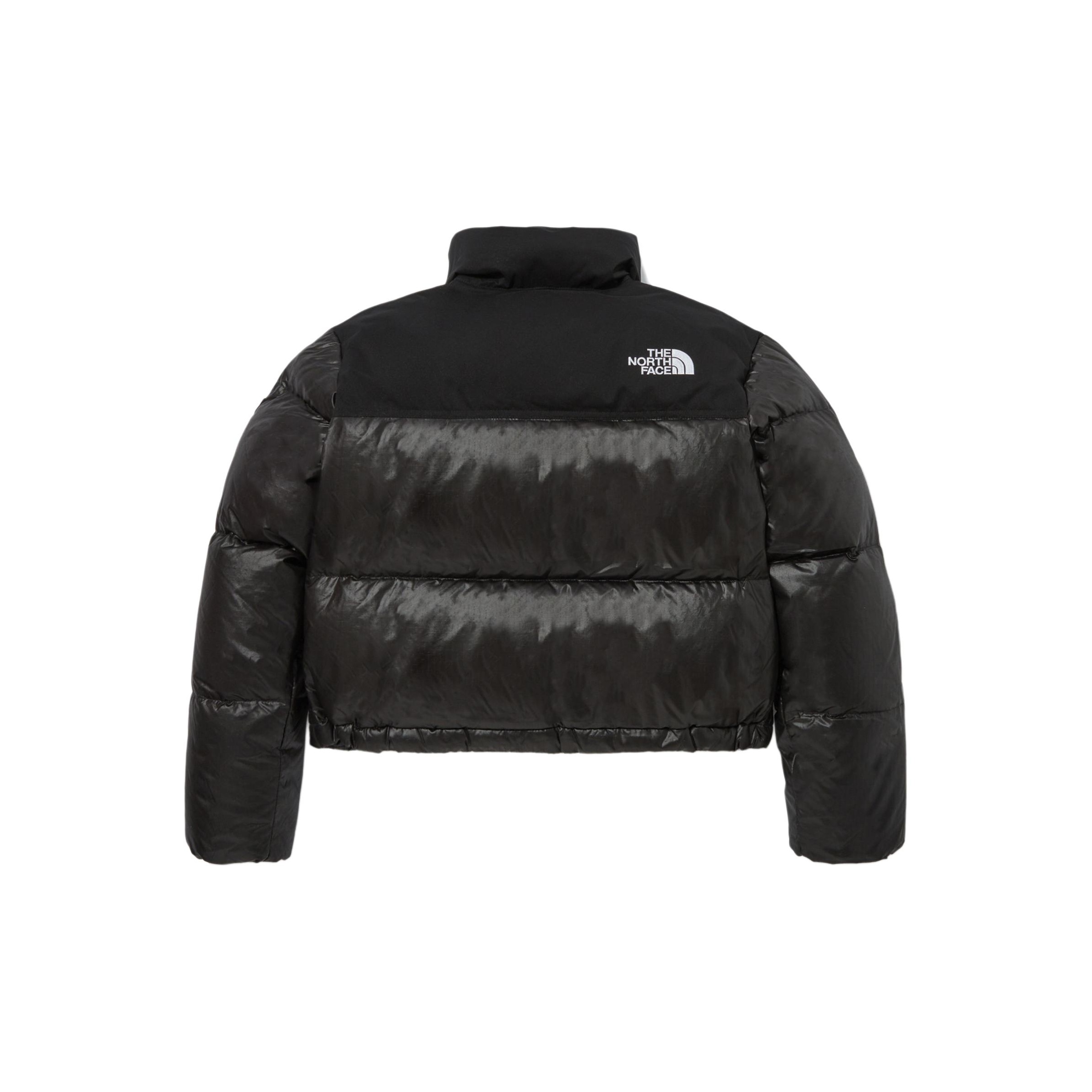 THE NORTH FACE★W'S NOVELTY NUPTSE RDS DOWN JACKET_NJ1DQ85 s-l400.jpg