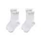 2 Pack (White)