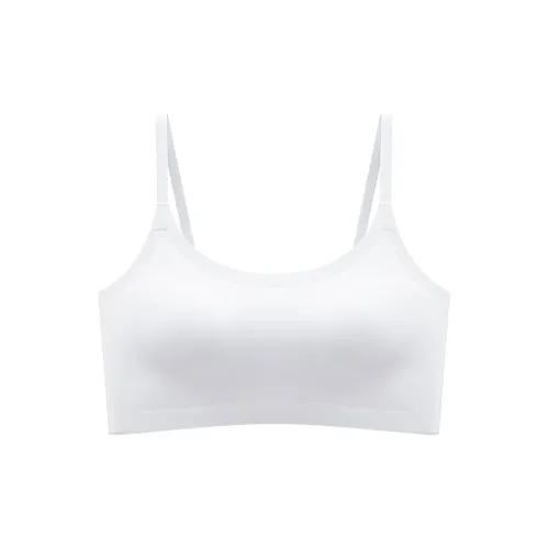 2323 Women's Bras